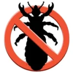 black silhouette stop lice insect 260nw 2633889637