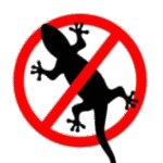 lizard control service 500x500