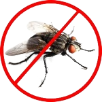 safeimagekit house fly control se... imresizer.jpg removebg preview