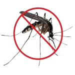safeimagekit mosquito control ser... imresizer.jpg removebg preview