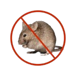 safeimagekit rat control service ... imresizer.jpg removebg preview