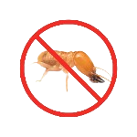 safeimagekit termite pest control service removebg preview